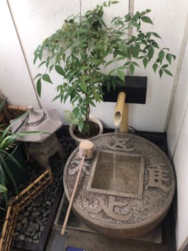 茶禅に投稿された画像（2019/9/13）