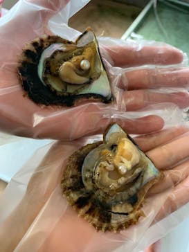 真珠工房 真珠の里に投稿された画像（2019/9/13）