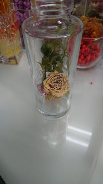 ずこうしつ〜sugamo〜に投稿された画像（2019/9/14）