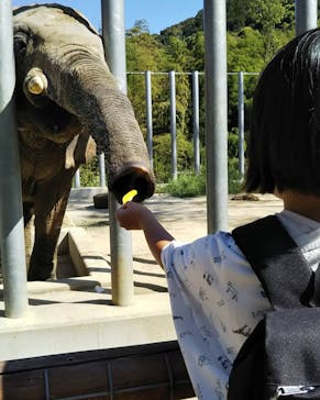 しろとり動物園に投稿された画像（2019/9/14）