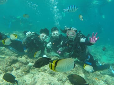 武藤潜水に投稿された画像（2019/9/14）