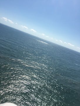 松島熱気球・パラグライダー体験に投稿された画像（2019/9/15）