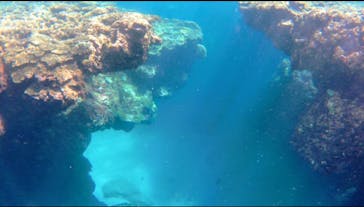 奄美ネイチャーガイドに投稿された画像（2019/9/16）