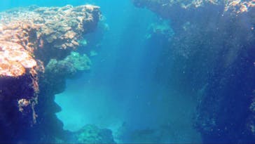 奄美ネイチャーガイドに投稿された画像（2019/9/16）