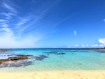 奄美ネイチャーガイドに投稿された画像（2019/9/16）