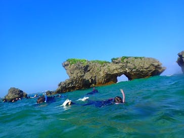 ダイビングショップ Sea Free（シーフリー）に投稿された画像（2019/9/16）