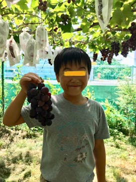 果実の里 原田農園に投稿された画像（2019/9/16）