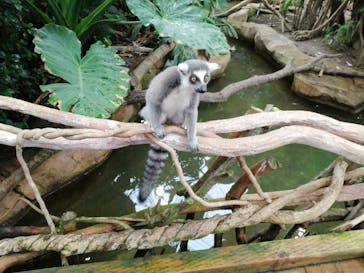 那須どうぶつ王国に投稿された画像（2019/9/16）