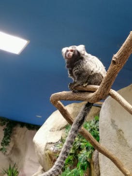 那須どうぶつ王国に投稿された画像（2019/9/16）