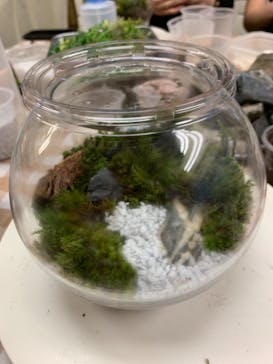 カルチャースクールいろはに投稿された画像（2019/9/16）