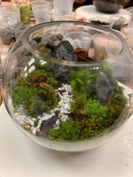 カルチャースクールいろはに投稿された画像（2019/9/16）