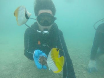 武藤潜水に投稿された画像（2019/9/17）