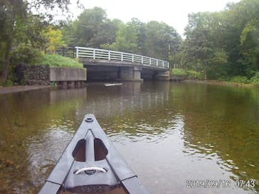 Matatabi（マタタビ）に投稿された画像（2019/9/17）