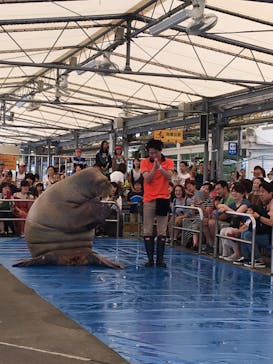 鳥羽水族館に投稿された画像（2019/9/18）