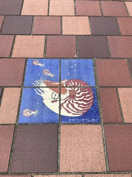 鳥羽水族館に投稿された画像（2019/9/18）