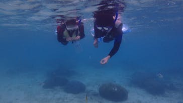 diving&workshop IHANASHI（ダイビングアンドワークショップイハナシ）に投稿された画像（2019/9/18）