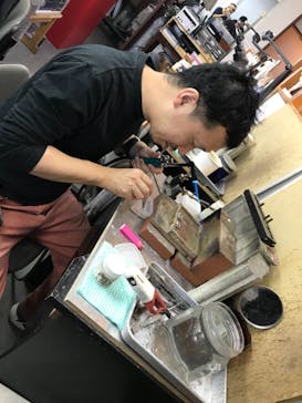 Caravella（カラベラ）に投稿された画像（2019/9/18）