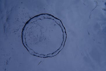 ダイビングショップ Sea Free（シーフリー）に投稿された画像（2019/9/18）