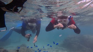 diving&workshop IHANASHI（ダイビングアンドワークショップイハナシ）に投稿された画像（2019/9/18）