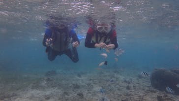 diving&workshop IHANASHI（ダイビングアンドワークショップイハナシ）に投稿された画像（2019/9/18）