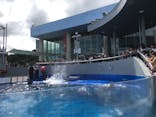 大分マリーンパレス水族館 「うみたまご」に投稿された画像（2019/9/20）