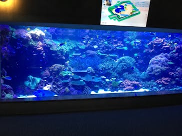 大分マリーンパレス水族館 「うみたまご」に投稿された画像（2019/9/20）