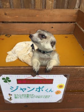 しろとり動物園に投稿された画像（2019/9/21）