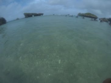 青の洞窟専門店　沖縄ダイビングショップ和に投稿された画像（2019/9/21）