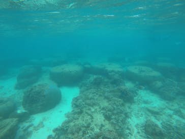 青の洞窟専門店　沖縄ダイビングショップ和に投稿された画像（2019/9/21）