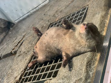 NIFREL（ニフレル）に投稿された画像（2019/9/21）