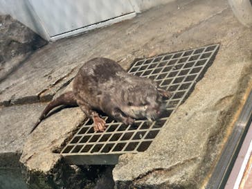 NIFREL（ニフレル）に投稿された画像（2019/9/21）