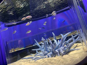 NIFREL（ニフレル）に投稿された画像（2019/9/21）