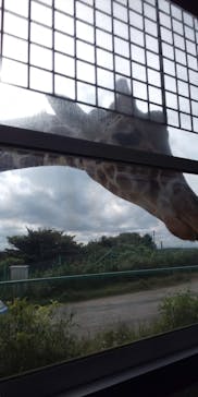 岩手サファリパークに投稿された画像（2019/9/21）