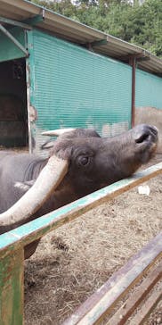 岩手サファリパークに投稿された画像（2019/9/21）