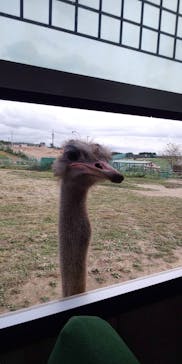 岩手サファリパークに投稿された画像（2019/9/21）