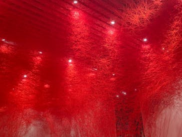 森美術館に投稿された画像（2019/9/22）