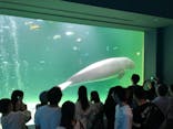 鳥羽水族館に投稿された画像（2019/9/22）