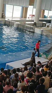 アクアワールド茨城県大洗水族館に投稿された画像（2019/9/22）