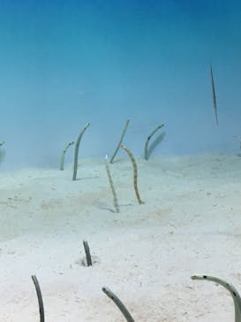 アクアワールド茨城県大洗水族館に投稿された画像（2019/9/23）