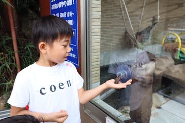 下田海中水族館に投稿された画像（2019/9/23）