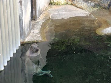 下田海中水族館に投稿された画像（2019/9/23）