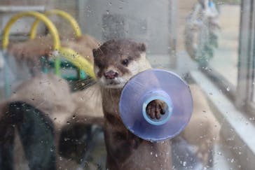 下田海中水族館に投稿された画像（2019/9/23）