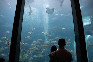 下田海中水族館に投稿された画像（2019/9/23）