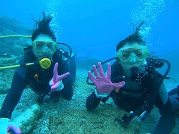 武藤潜水に投稿された画像（2019/9/23）