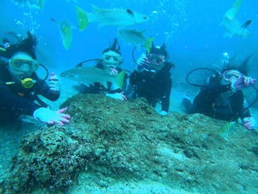 武藤潜水に投稿された画像（2019/9/23）