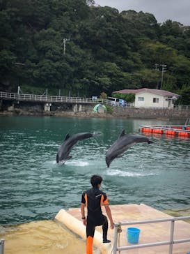 下田海中水族館に投稿された画像（2019/9/23）