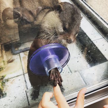 下田海中水族館に投稿された画像（2019/9/23）