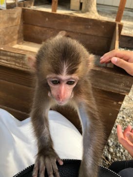 しろとり動物園に投稿された画像（2019/9/23）