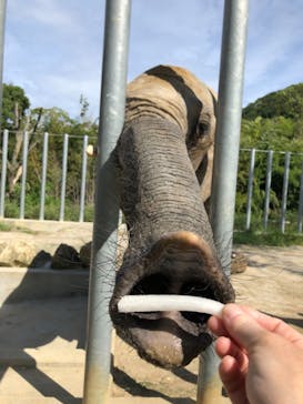 しろとり動物園に投稿された画像（2019/9/23）