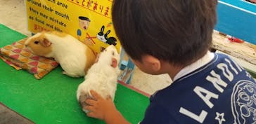 沖縄こどもの国に投稿された画像（2019/9/24）